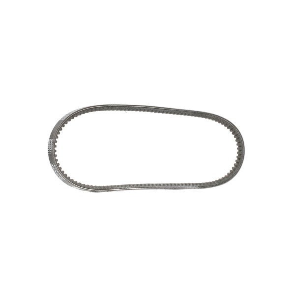 Keilriemen 11A0850C DAYCO 500337152 IVECO