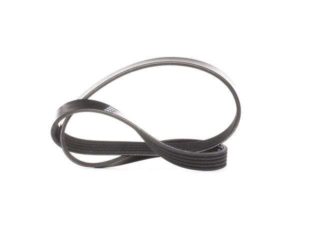 Keilrippenriemen 5PK880 DAYCO 1340675 OPEL, VAUXHALL