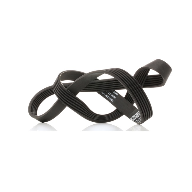 6x1150 Curea de accesorii DAYCO Renault cat costa