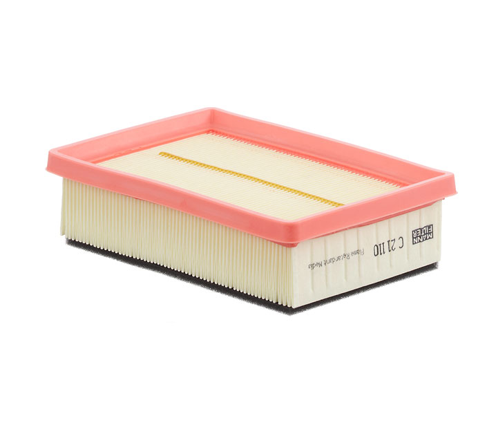 22776495 MANN-FILTER C 21 110