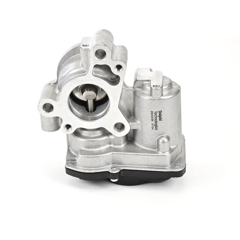 Valve EGR DELPHI EG10729-12B1 évaluation