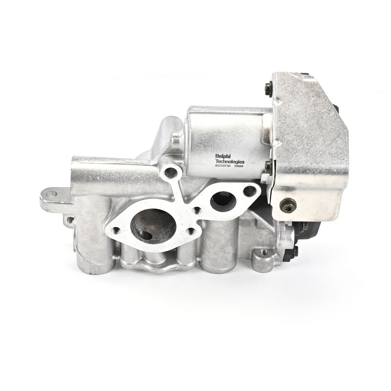 DELPHI EG10730-12B1 AGR-Ventil