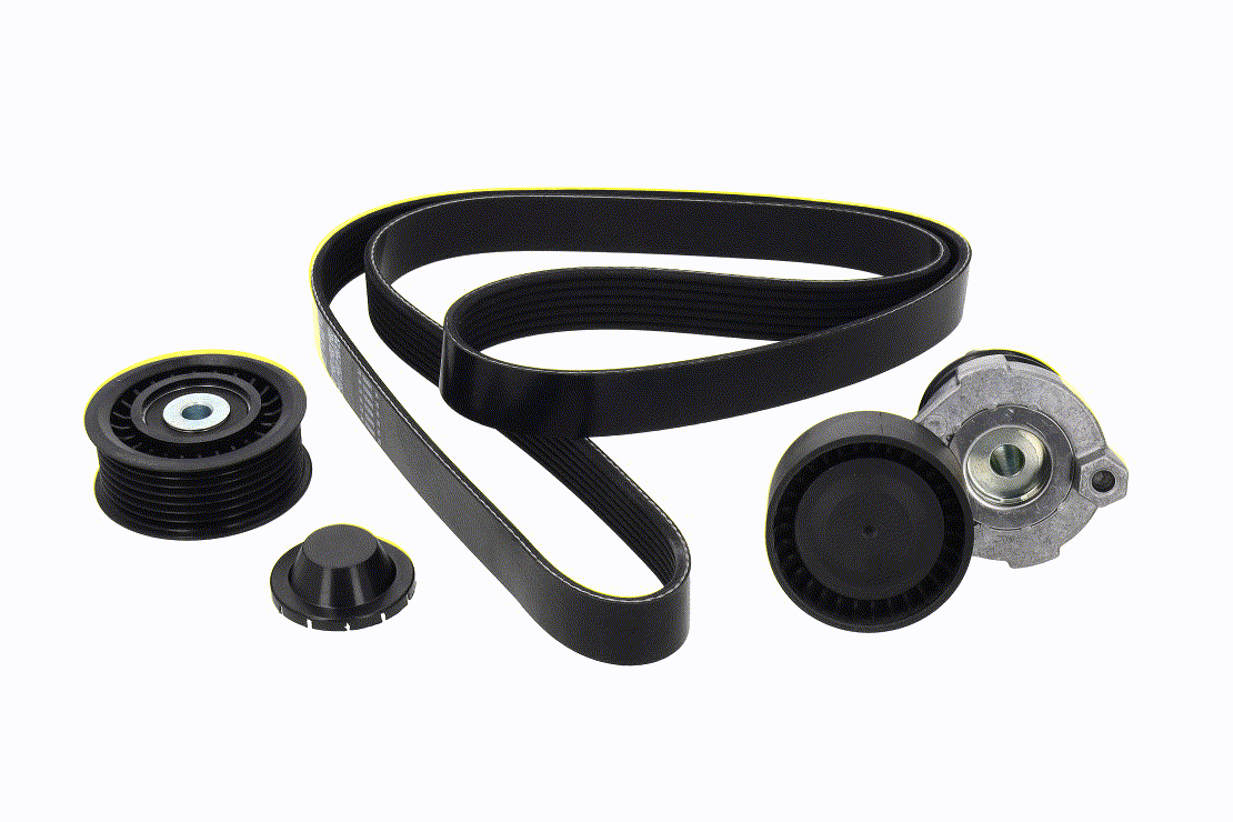 V46-1685 VAICO Poly V-riem set prijs