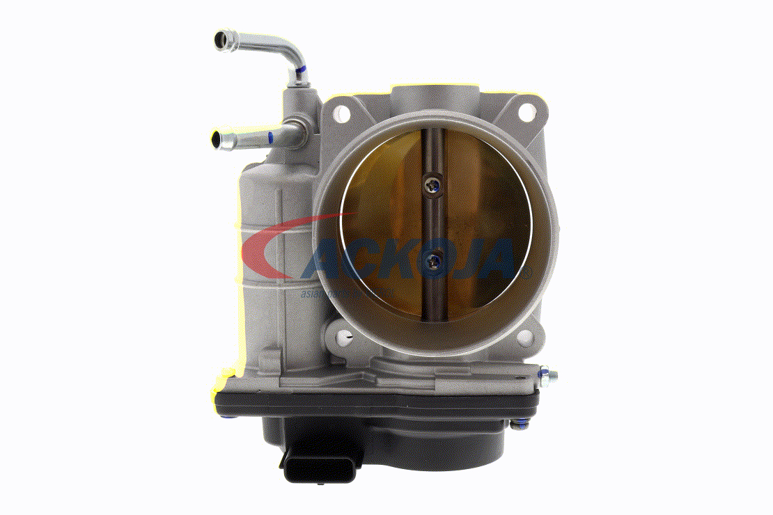 ACKOJA A38-81-0010 Gasklephuis