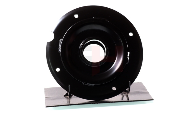 GH361961A GH Fiat Ducato 250 Bus Federteller Kosten