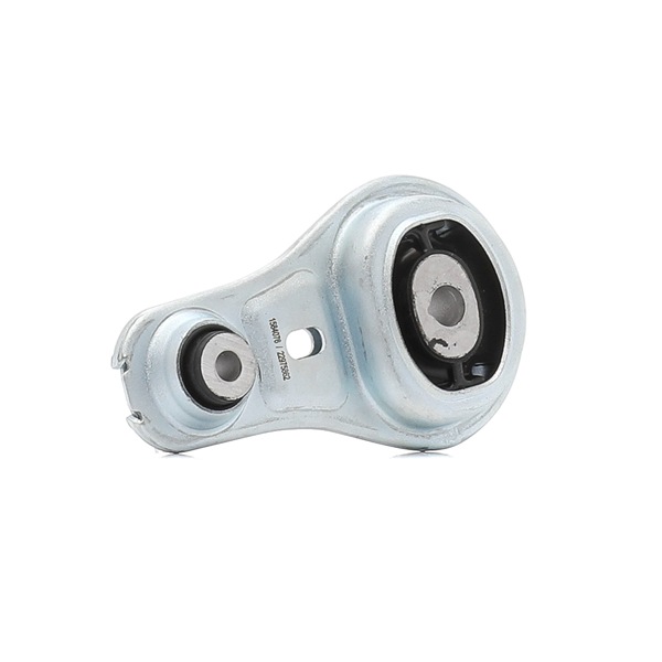 Motorlager 247E1191 RIDEX 1123800Q0B OPEL, RENAULT, FIAT, NISSAN, DACIA