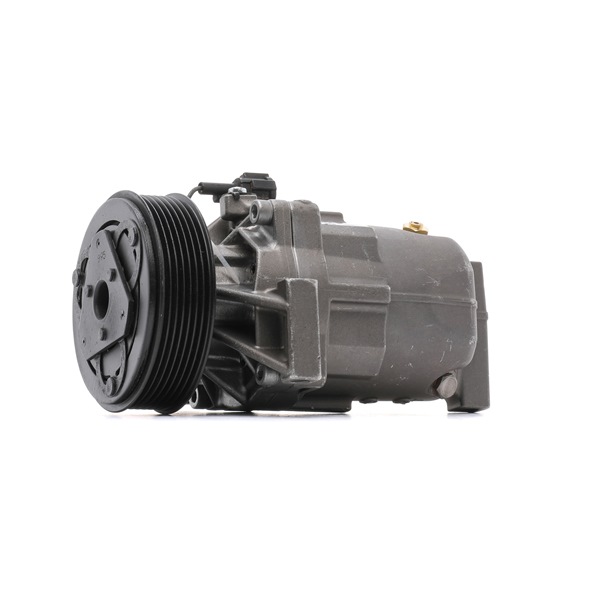 RIDEX REMAN 447K0529R Air conditioning compressor Air conditioning compressor 1K0 820 859 J RIDEX REMAN 447K0529R VW, AUDI, MERCEDES-BENZ, FORD, VOLVO