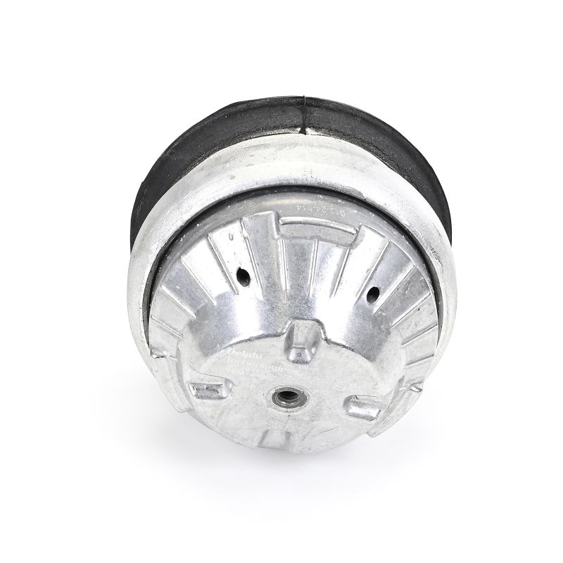 Fixation cache moteur DELPHI Mercedes-Benz SPRINTER coût