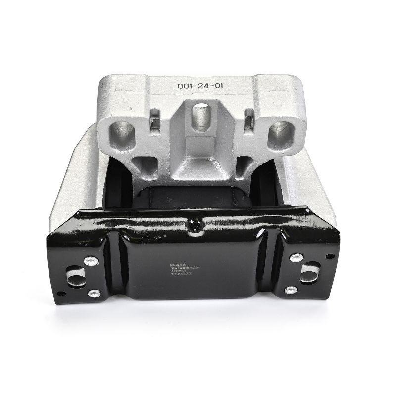 DELPHI TEM272 Suport motor