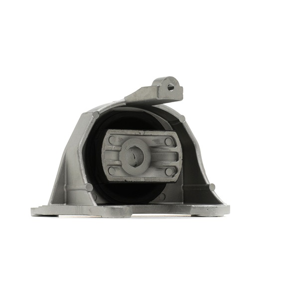 RIDEX 247E1216 Motorlager