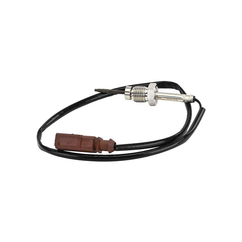 Temperature probe DELPHI Volkswagen CC cost