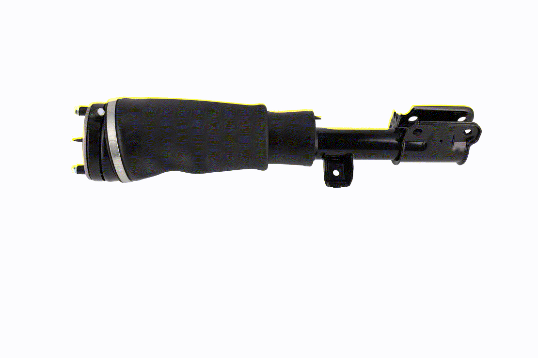 Amortecedor pneumático LR012885 VEMO V48-50-0019 LAND ROVER, ROVER