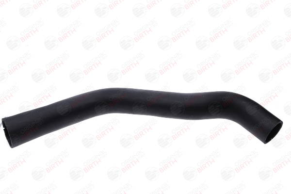 Ladeluftschlauch 55893 BIRTH 0382JS FIAT, PEUGEOT, CITROЁN, ALFA ROMEO, DS