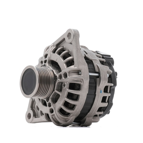 Dynamo RIDEX REMAN 4G2060R