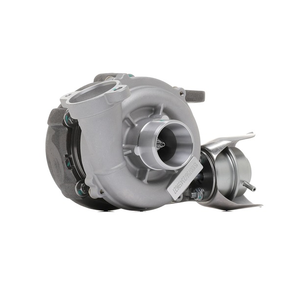 RIDEX 2234C11950 Turbolader