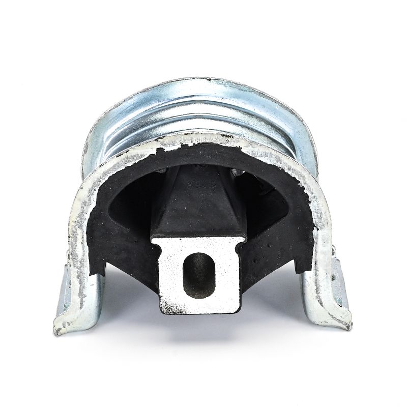 DELPHI TEM139 Motorlager