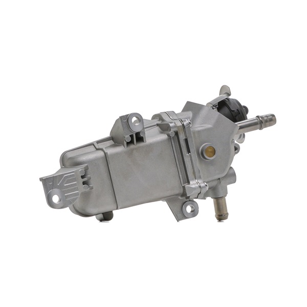 RIDEX 4198E0338 Module-EGR