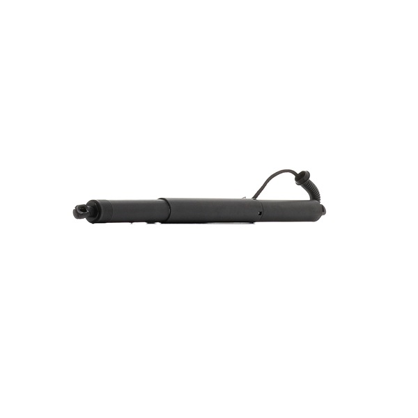 RIDEX 7413E0002 Heckklappe-Motor