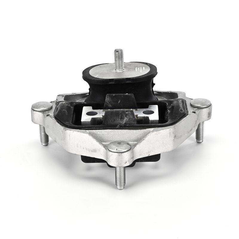 23702565 TEM275 OEM DELPHI Suport cutie de viteze preț