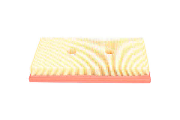 FAF-11011 KAVO PARTS Motorluftfilter VW Preis