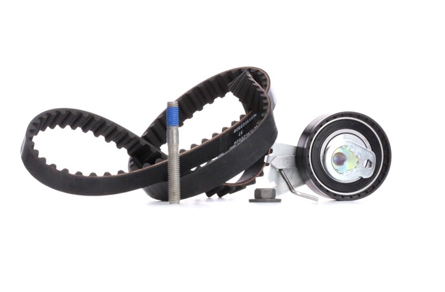 Timing belt kit 0831.S0 INA 530033510 PEUGEOT, CITROЁN, FIAT, DS