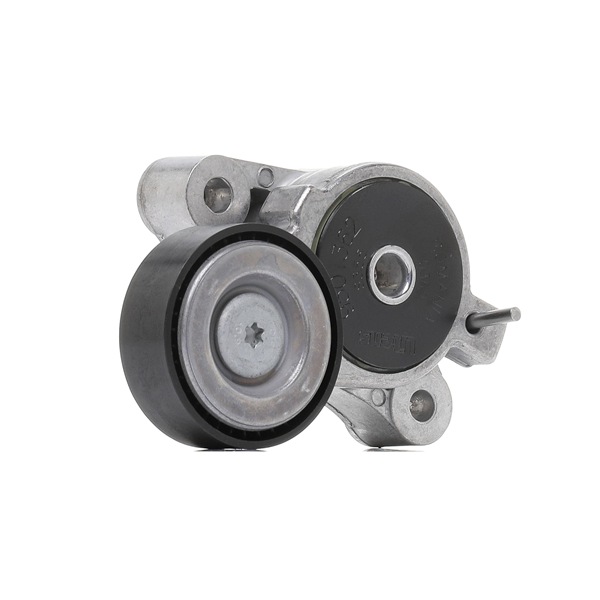 INA 534 0396 10 Galet tendeur de courroie d'accessoire