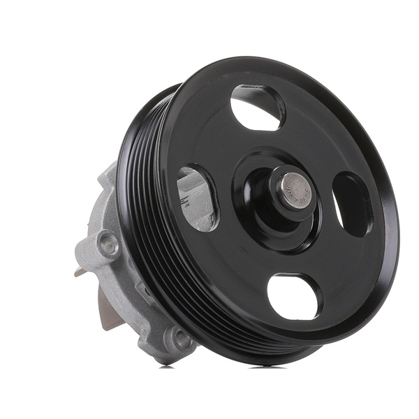 goCORE GCA2600015 Pompe à eau