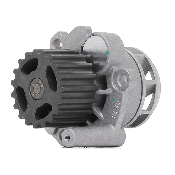 goCORE GCA2600018 Wasserpumpe