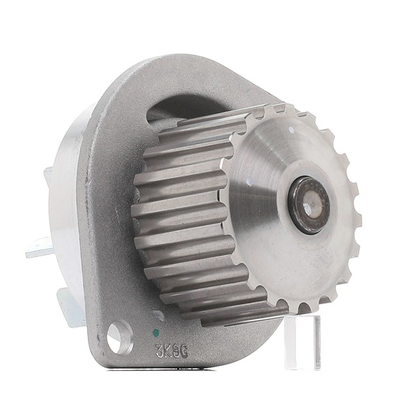 goCORE GCA2600031 Bomba de agua