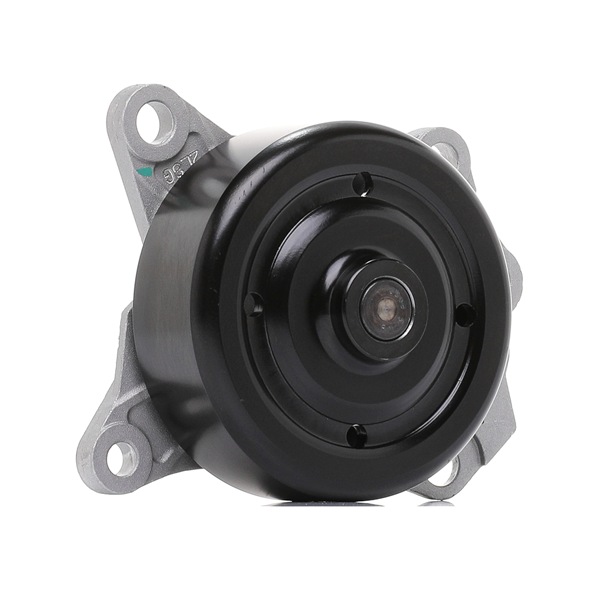 goCORE GCA2600066 Water pump