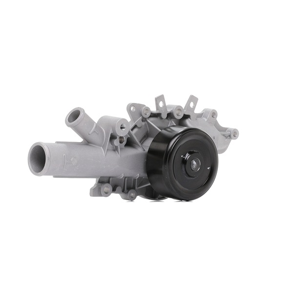 goCORE GCA2600070 Wasserpumpe
