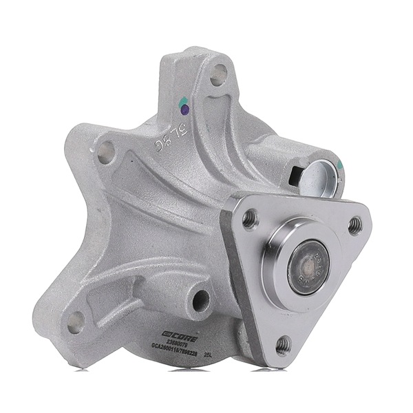 goCORE GCA2600118 Pompe à eau