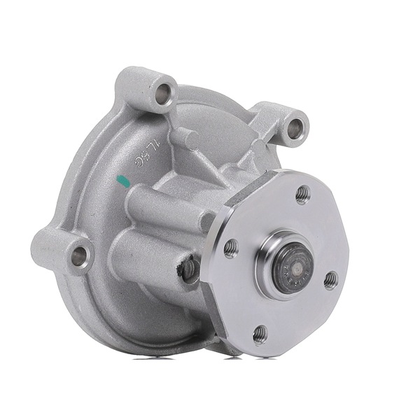 goCORE GCA2600124 Wasserpumpe