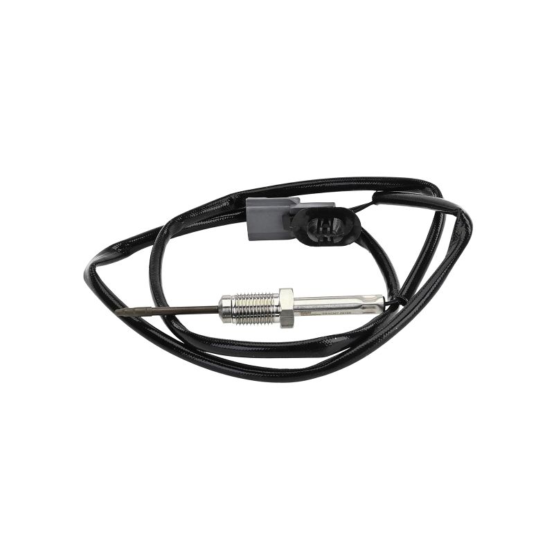 DELPHI TS30367-12B1 Palpeur de température des gaz