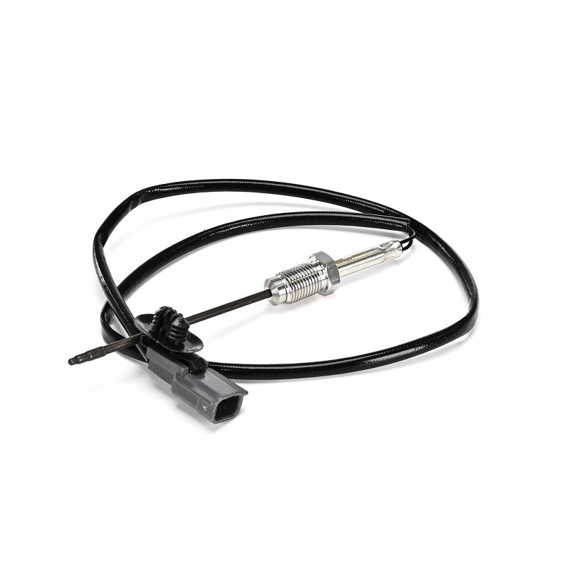 Temperaturfühler DELPHI X-TRAIL Preis