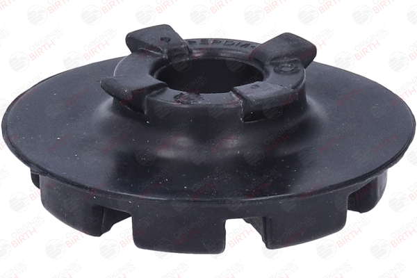 BIRTH 56763 Federteller RENAULT CLIO 1.2 16V 78 PS Benzin