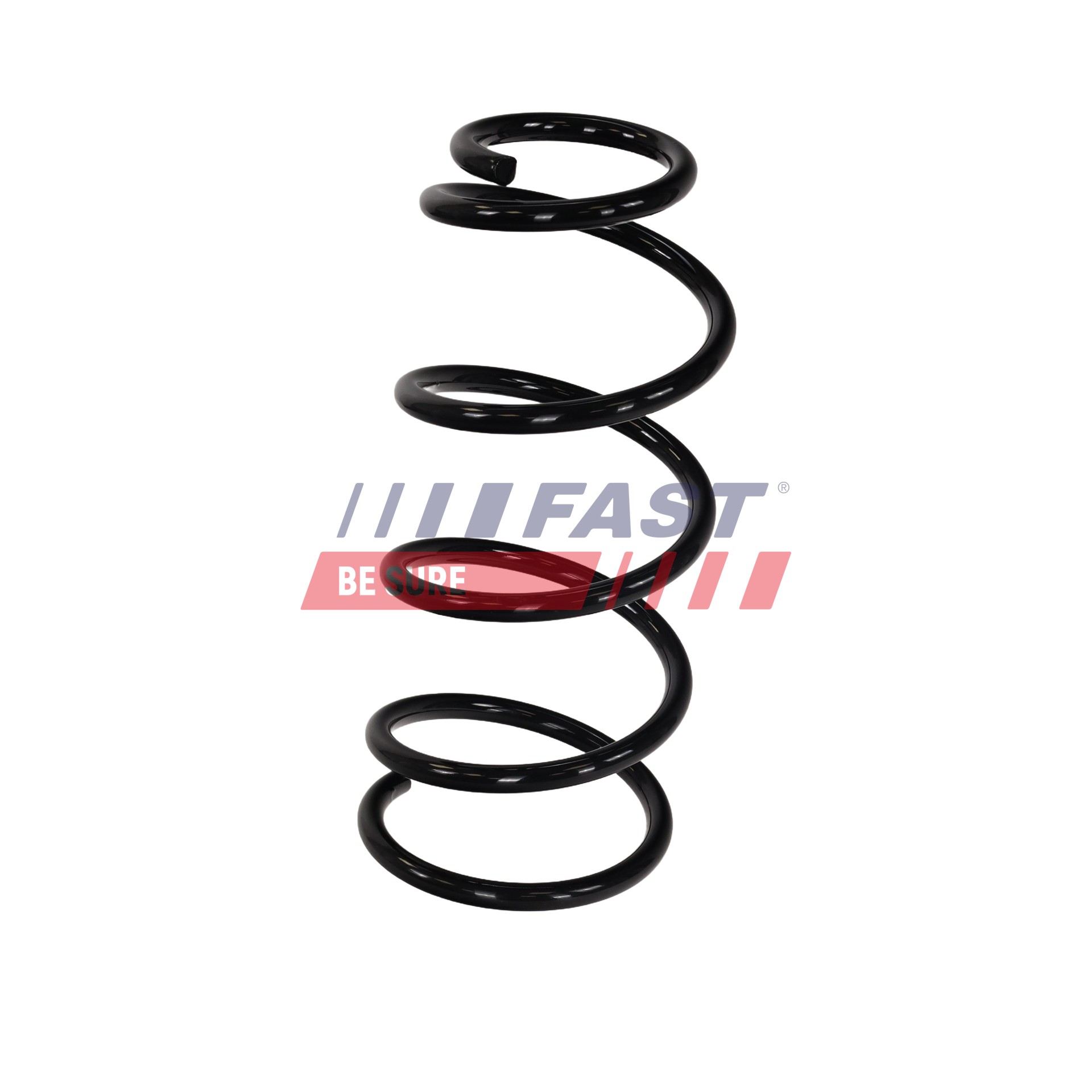 FAST FT01896 Federn FORD FOCUS 1.6 Ti 105 PS Benzin