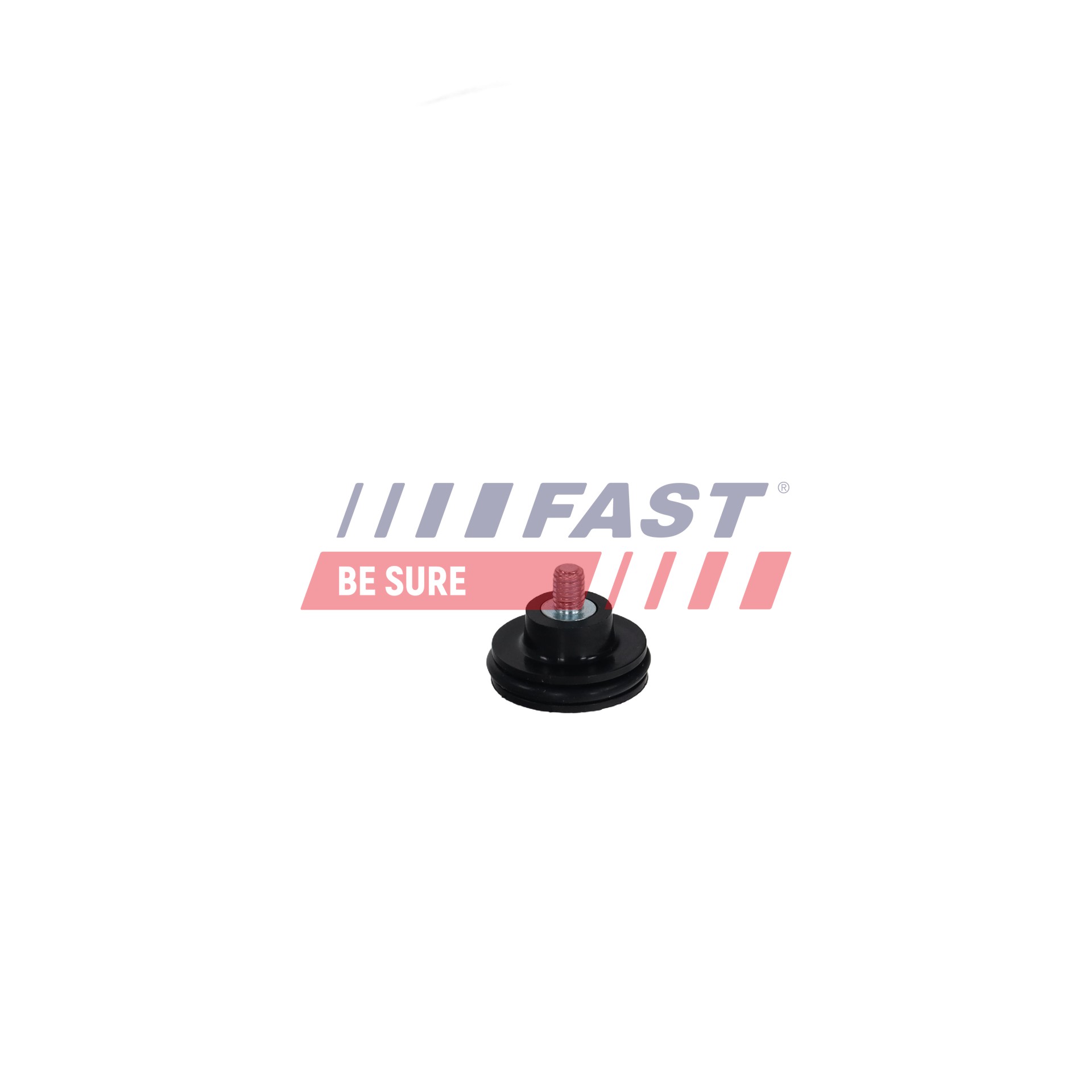 FAST FT11389 Portière Renaul Kangoo 1 1.5 dCi 82 CV Diesel 2004
