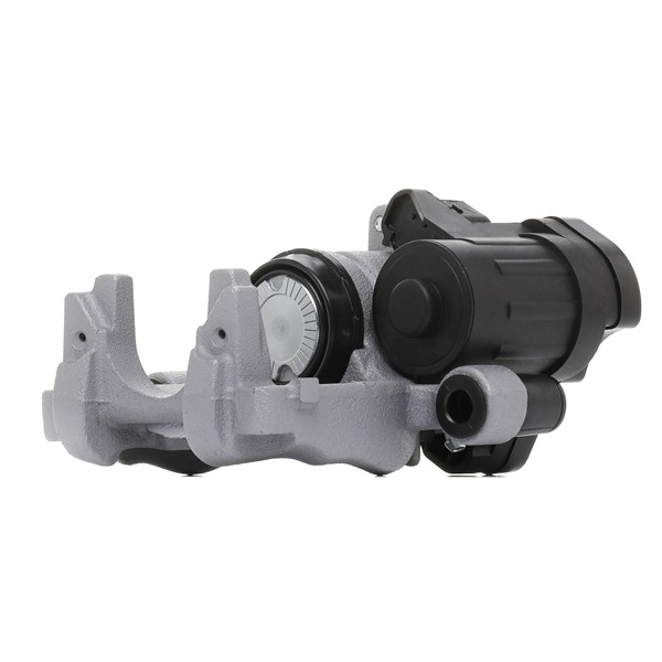 RIDEX PLUS 78B1013P Féknyereg
