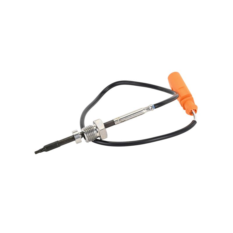 EGT sensor DELPHI Audi A7 kosten
