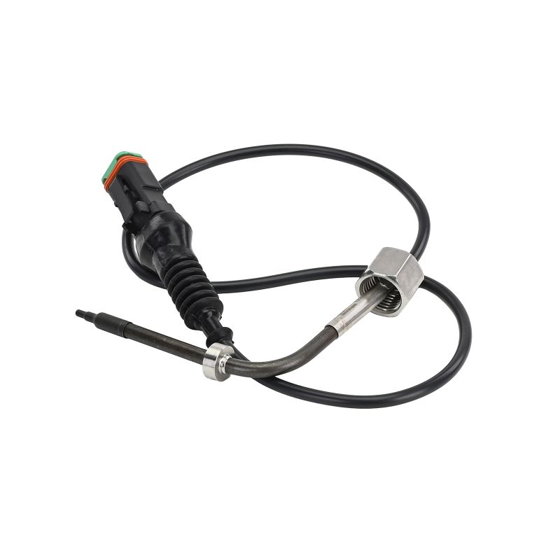 Palpeur de température des gaz 2 265 872 DELPHI TS30432-12B1