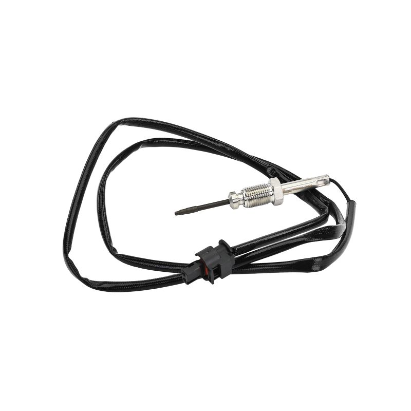 DELPHI TS3046012B1 Palpeur température des gaz BMW F25 xDrive30d 3.0 277 CV Diesel 2016