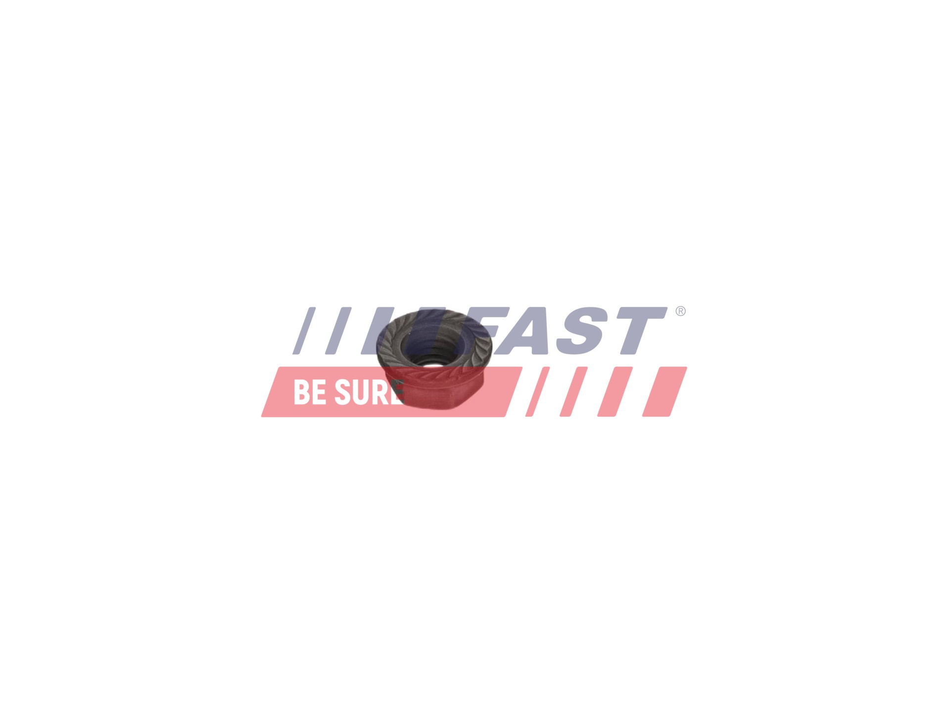 FAST FT05145 Топлинен дфлектор, инжекционна система VW EOS 1f7 2.0 TDI 136 K.C. дизел 2014