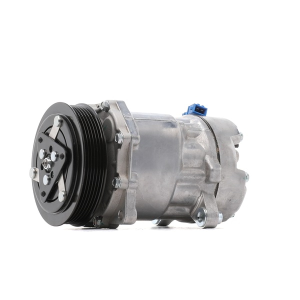 262372 Compresseur d'air conditionné DELPHI Skoda FABIA coût