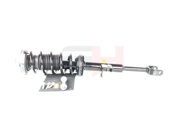 GH-351553C01 GH 31 31 6 866 593 Jambe de force