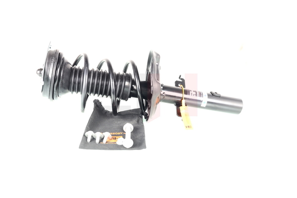 GH GH-353972C02 Federbein