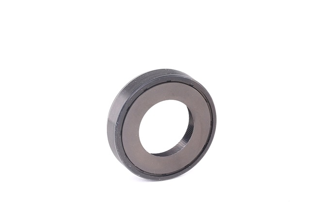39407 PAYEN NA5204 Anello tenuta, differenziale JAGUAR prezzo