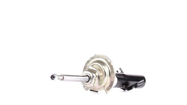 Амортисьор 31 31 6 780 470 BILSTEIN 22-119193 BMW, MINI