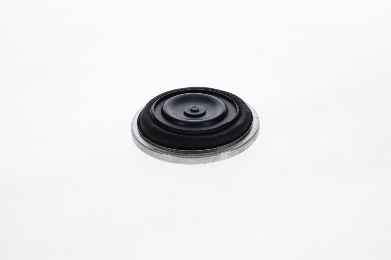 BOSCH 1 420 503 002 Membrana