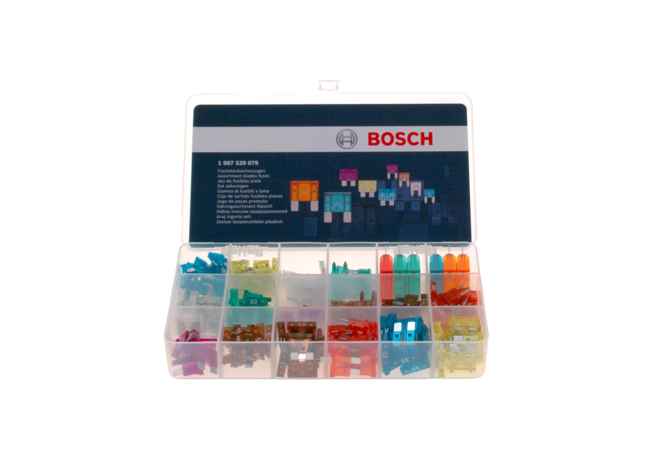251 TEILE 1987529079 OEM Fuse BOSCH price